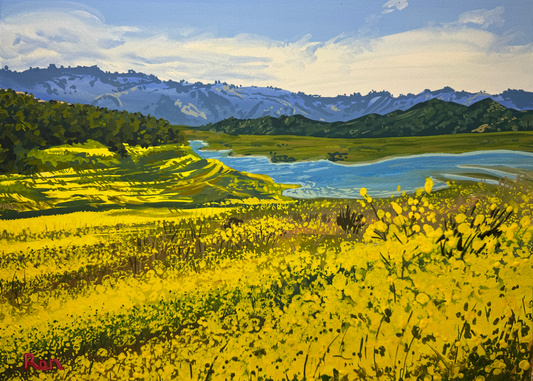 Mustard Field Dreams Greeting Cards (Pack of 10)