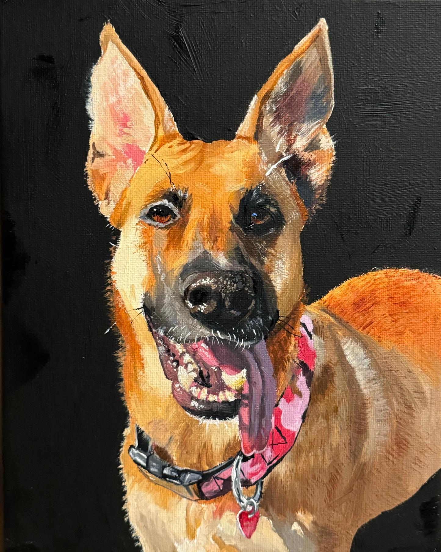 Pet Portraits