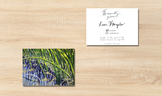 Pond Reeds Greeting Cards (Pack of 10)