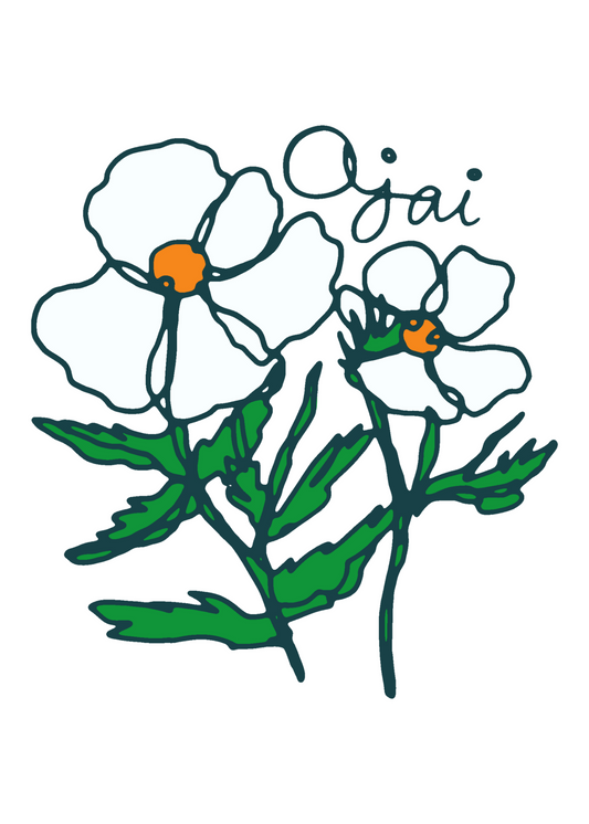 Poppies - Ojai Greeting Cards (Pack of 10)