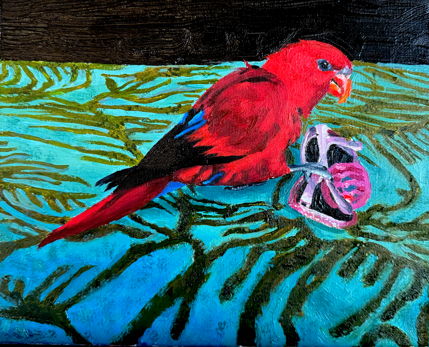 Pet Portraits