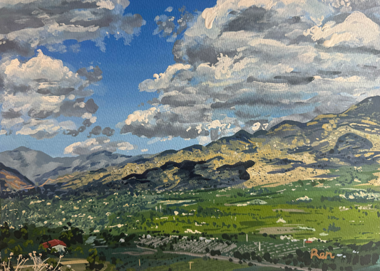 The Lookout Greeting Cards (Pack of 10)