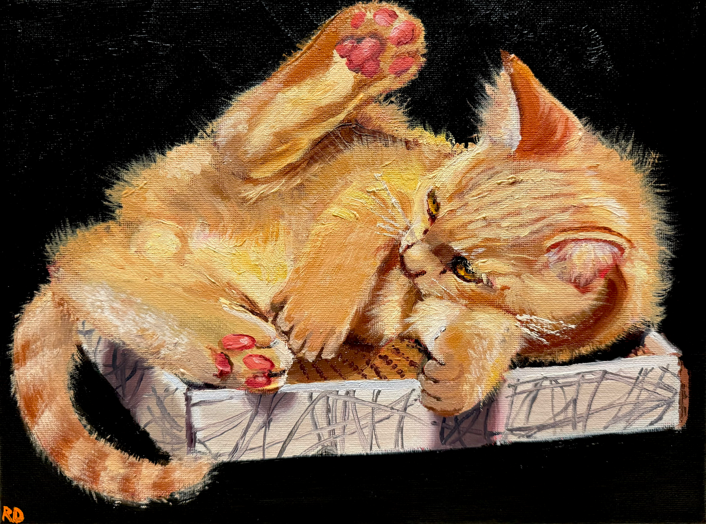 Pet Portraits