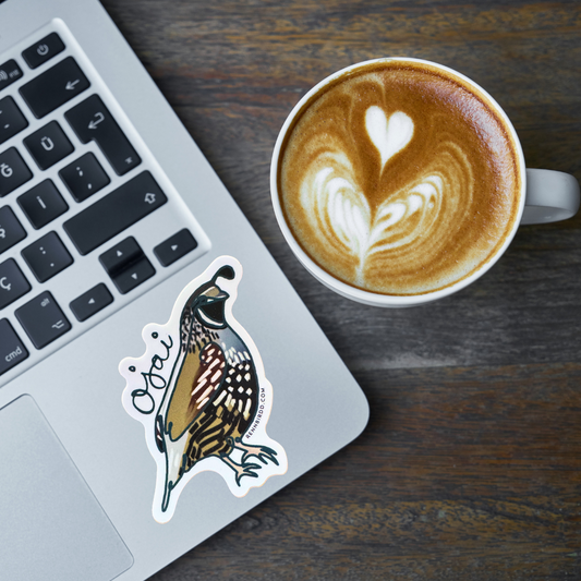 Ojai Quail Stickers (Pack of 3)