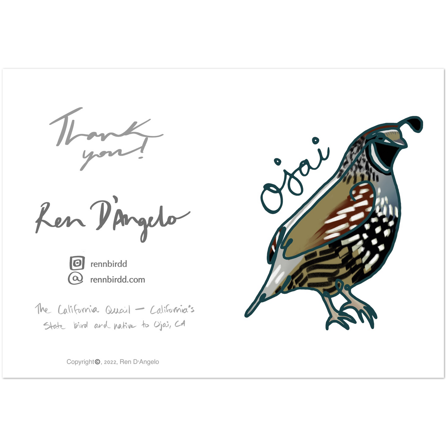 Ojai Quail Greeting Cards (Pack of 10)