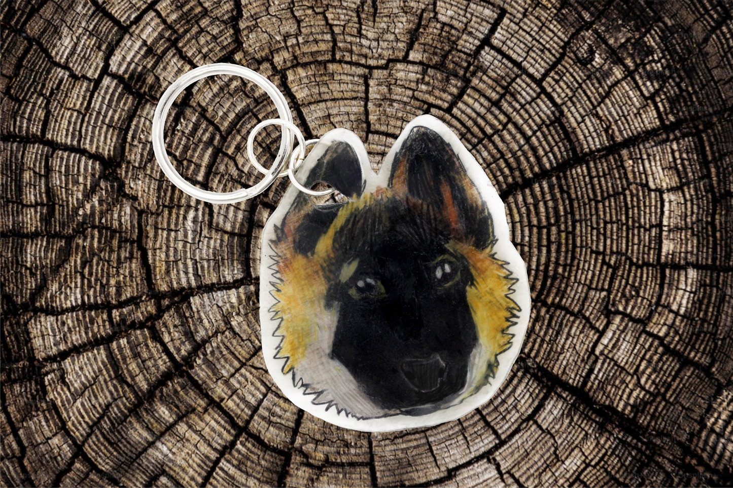 Pet Portrait Keychains