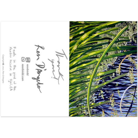 Pond Reeds Greeting Cards (Pack of 10)