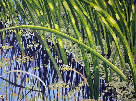 Pond Reeds Greeting Cards (Pack of 10)