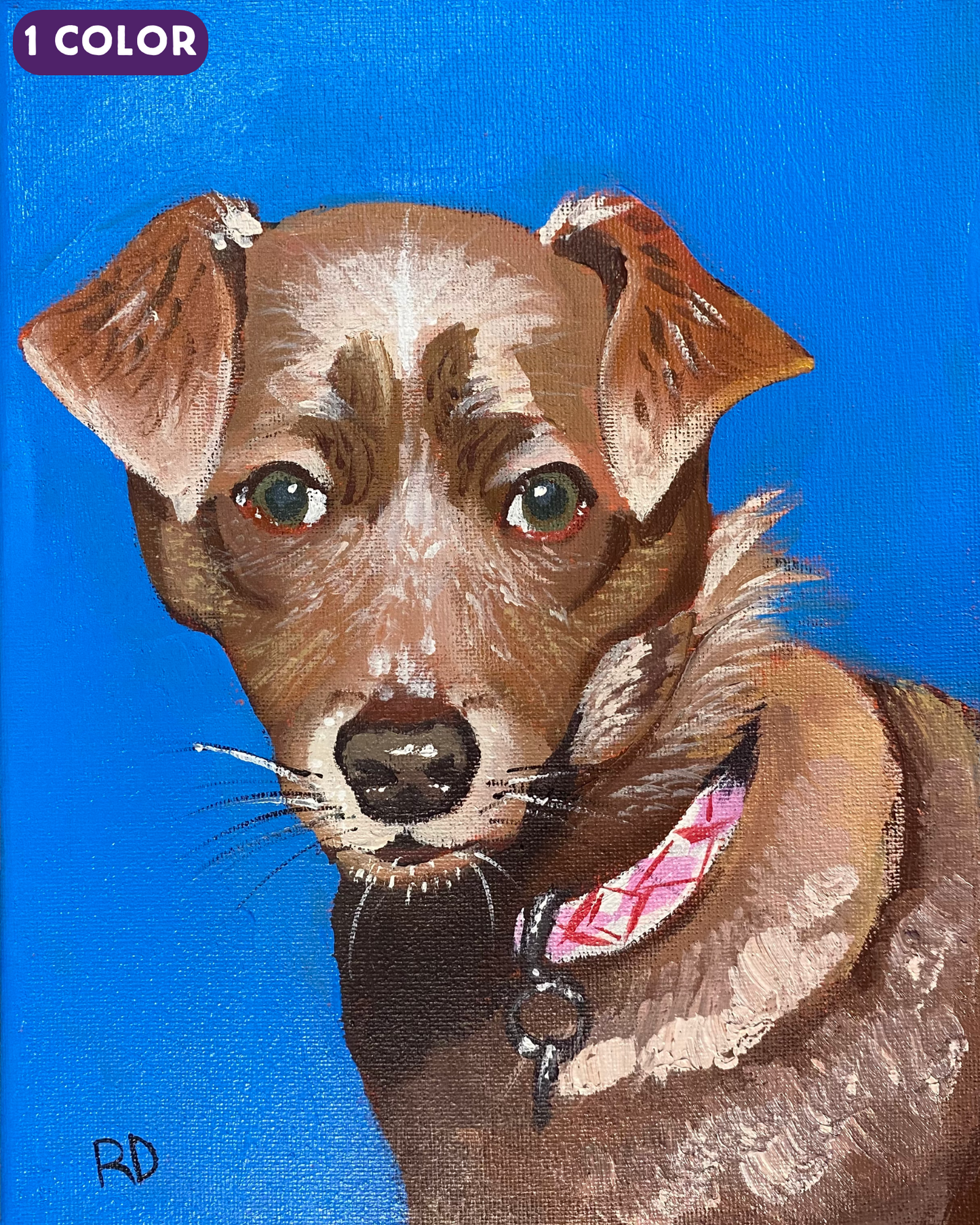 Pet Portraits