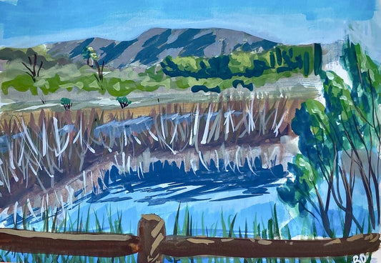 Meadow Pond Art Print