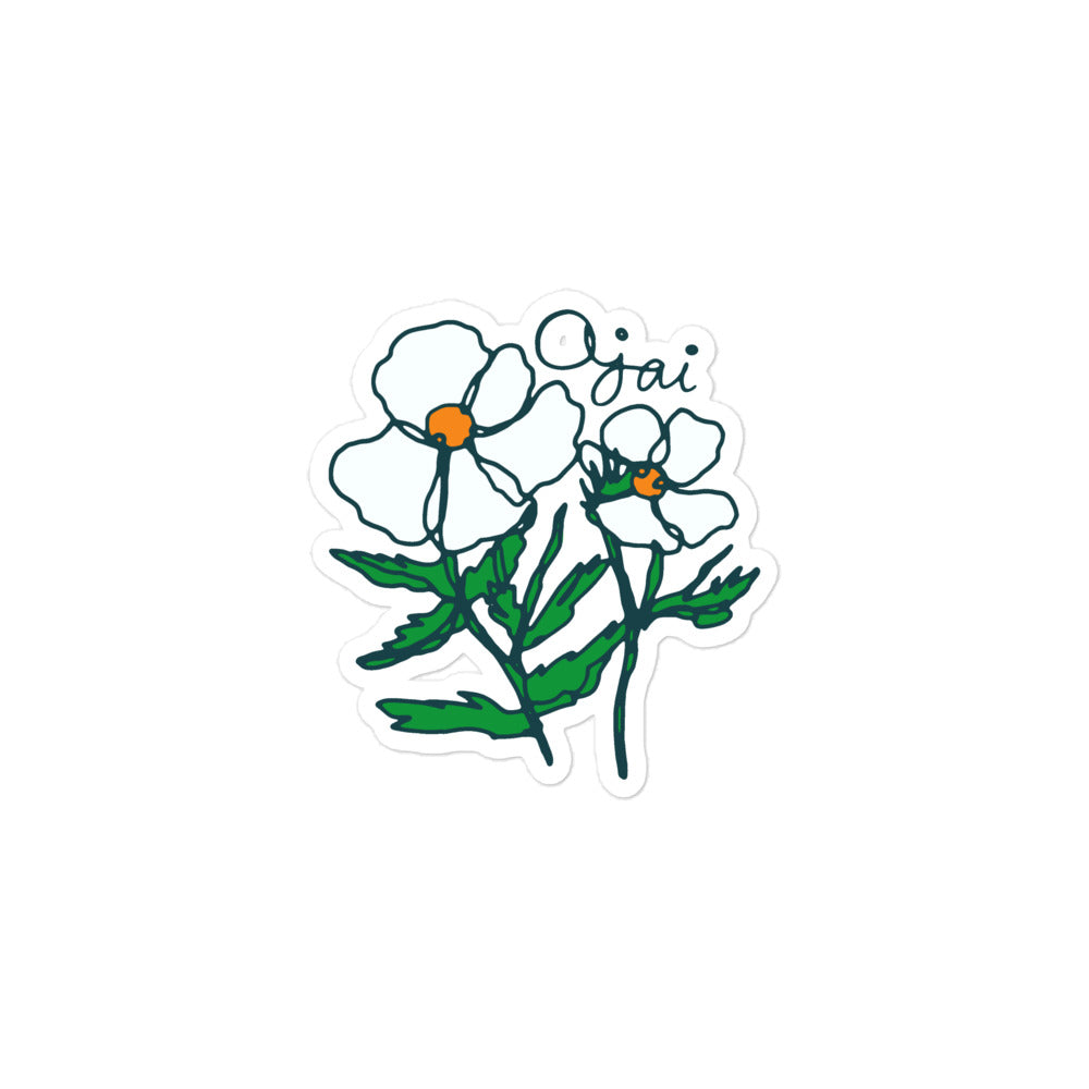 Ojai Matilija Poppy Sticker